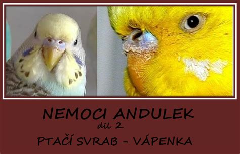 vpenka u andulek|Vápenka u andulek